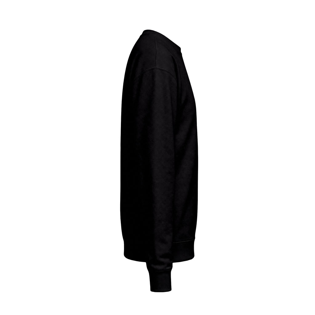 Sweatshirts-UArk Designs