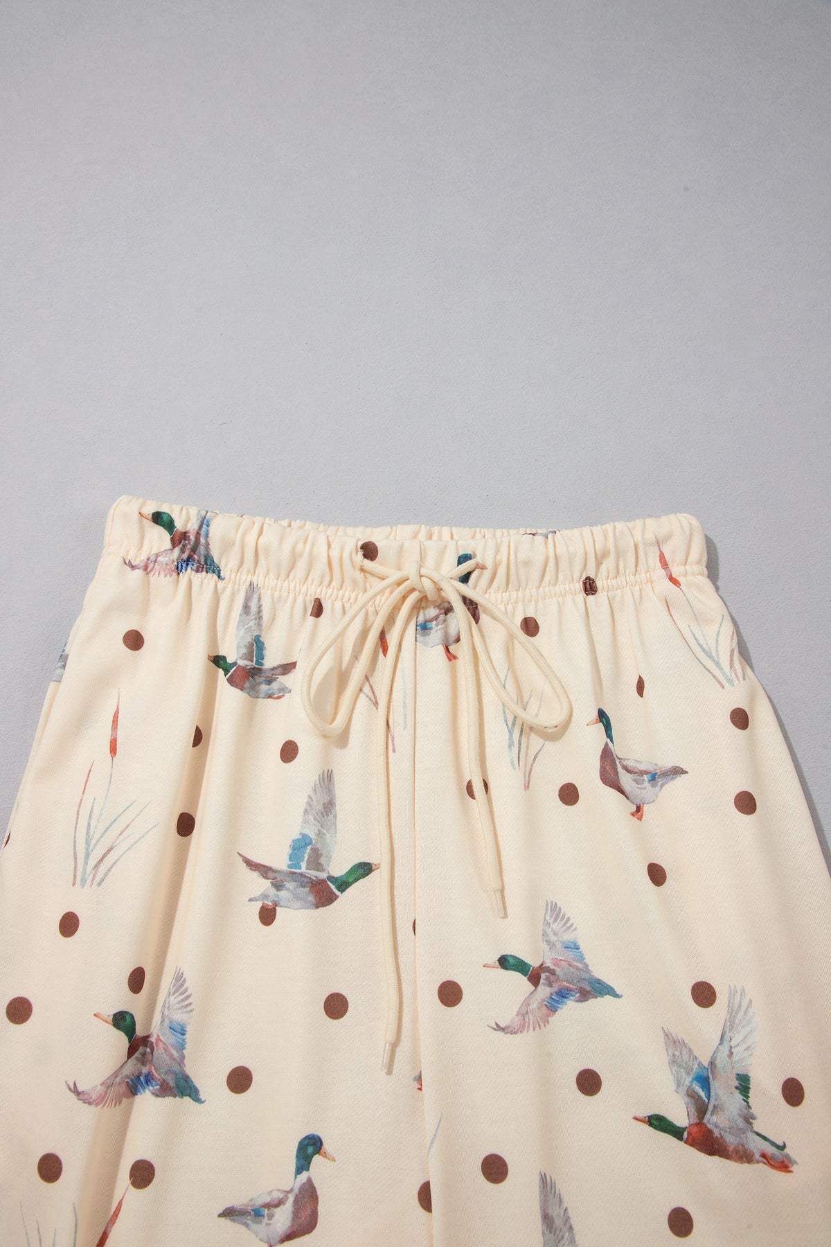 Polka Dot Mallard Print Crewneck Pullover 2-Piece Pants Set