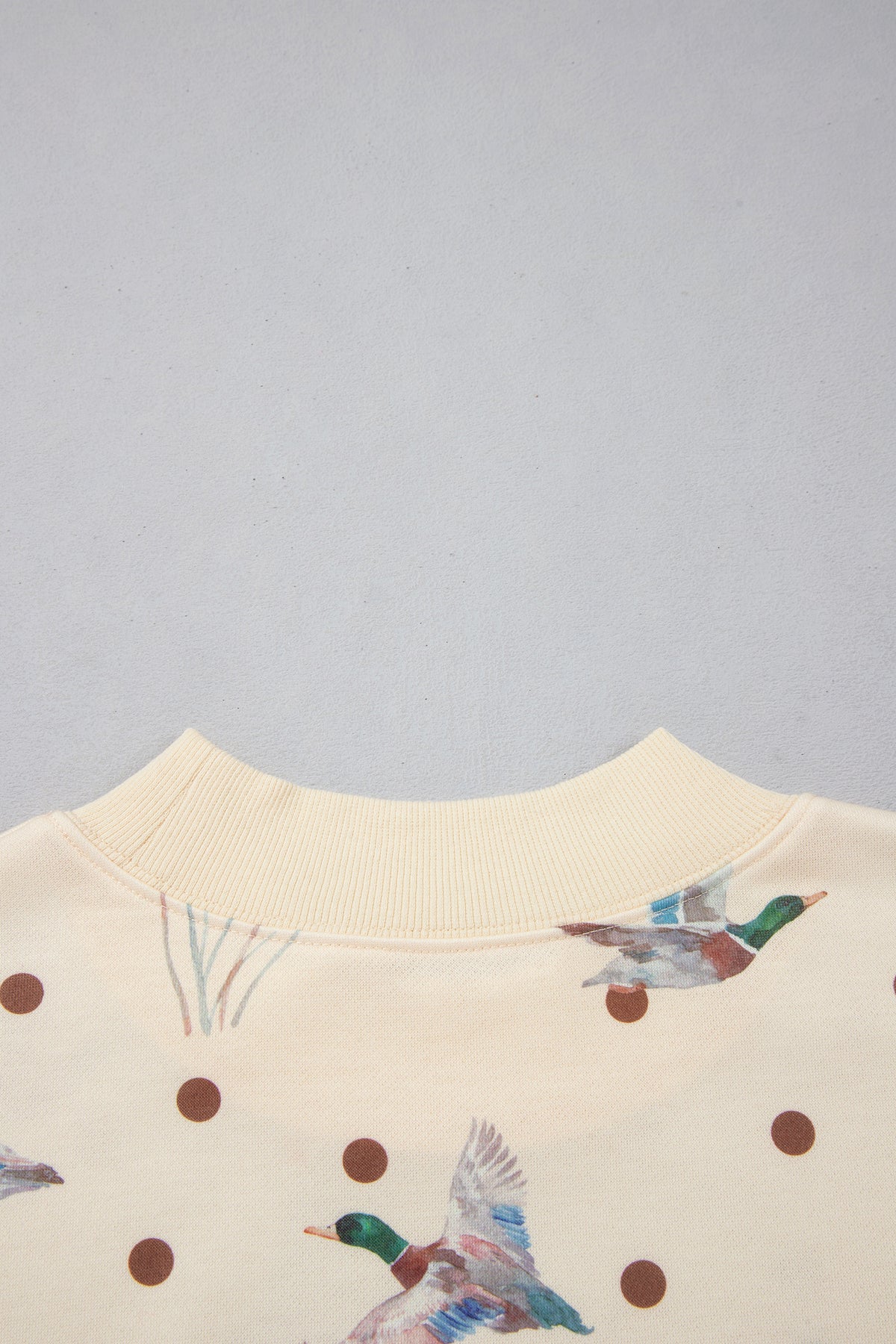Polka Dot Mallard Print Crewneck Pullover 2-Piece Pants Set