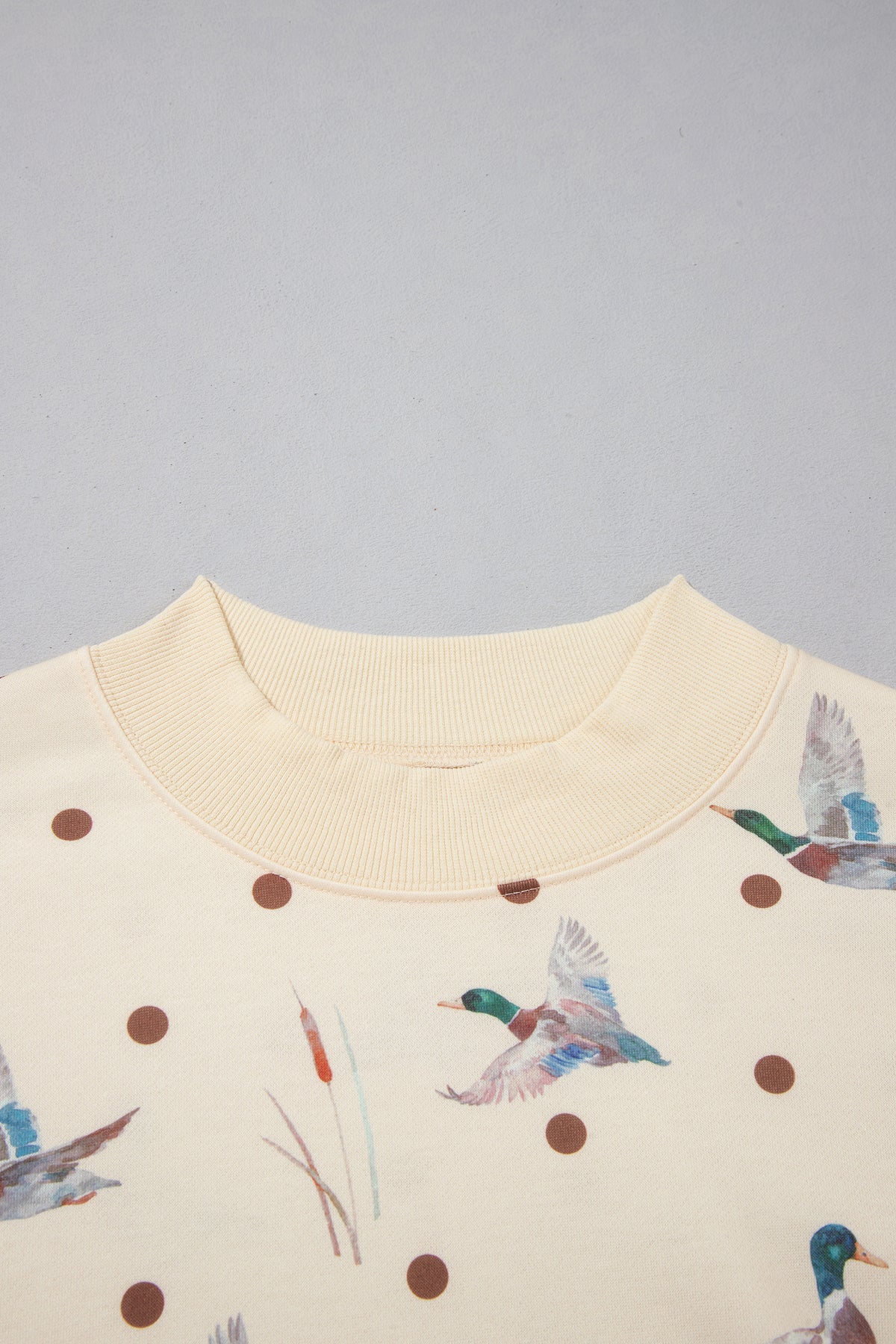 Polka Dot Mallard Print Crewneck Pullover 2-Piece Pants Set