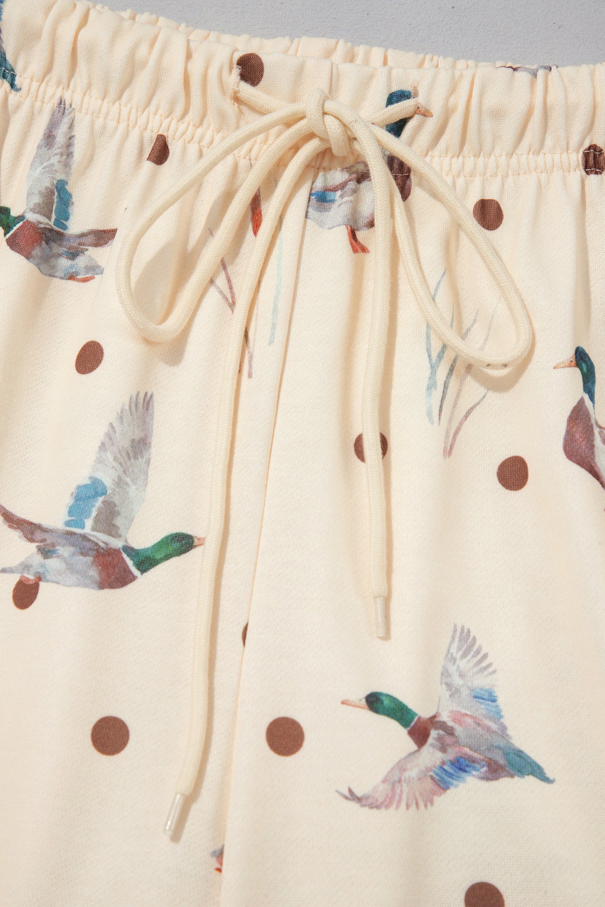 Polka Dot Mallard Print Crewneck Pullover 2-Piece Pants Set
